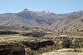 The Colca Valley is one of the most intensively terraced regions in the Andes 